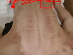 -麦子MaiMassage(打浦桥店)