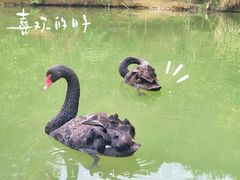 -千岛湖东南湖区