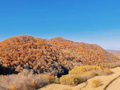 -香炉山国家森林公园