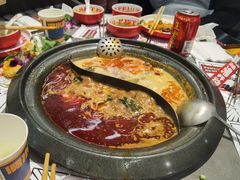 -生活如沸·顺德水牛奶火锅(大学路店)