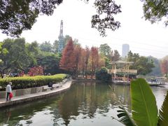 -晓港公园