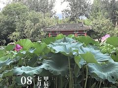 -宣武艺园