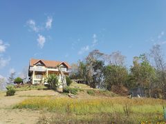 -黄色小屋