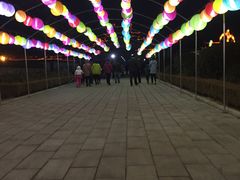-杨家埠民间艺术大观园