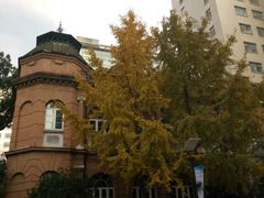 老建筑-复旦大学附属华山医院(总院)