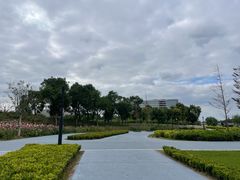 -春花秋色城市公园