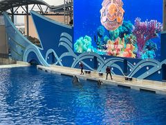 -上海海昌海洋公园
