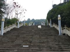 -铁山坪森林公园