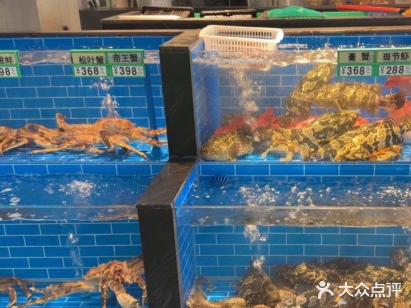 佳肴秀味觉