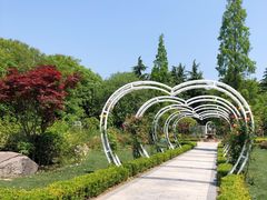 -昆山城市生态森林公园