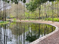 -上海共青森林公园