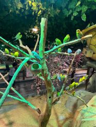 -酷嗒动物文化乐园(cutezoo西溪乐天城店)