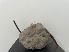 -南京老山国家森林公园