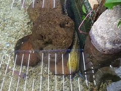 -鸿通城购物中心