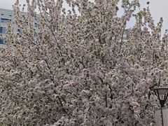 -元大都城垣遗址公园