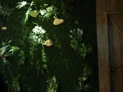 -大碗先生(株洲天虹店)