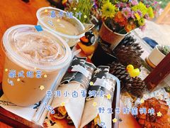 -饵块食光·云南有机手作饵块