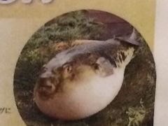 -玄品河豚(那覇國際通里之関)