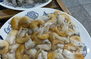 Wild Scallop