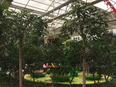 -南宫五洲植物乐园