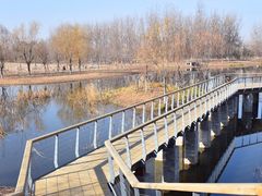 -东郊湿地公园