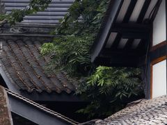 -成都博舍酒店