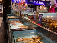 -尚海豆捞(乐虹坊店)