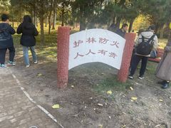 -森林公园(尖草坪区)