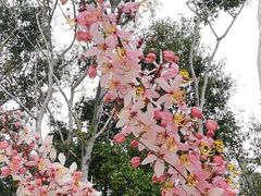 -深圳国际园林花卉博览园