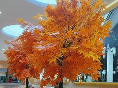 -双燕楼百年手工馄饨(益田岁宝店)