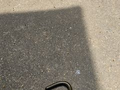 -天台山赤城山景区