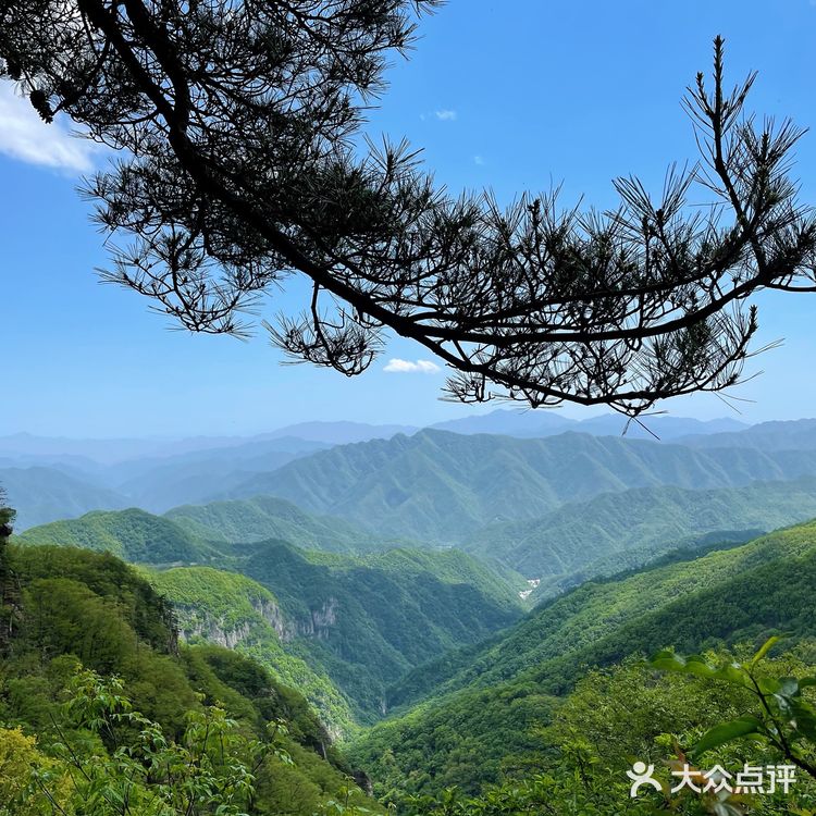 牛背梁国家森林公园