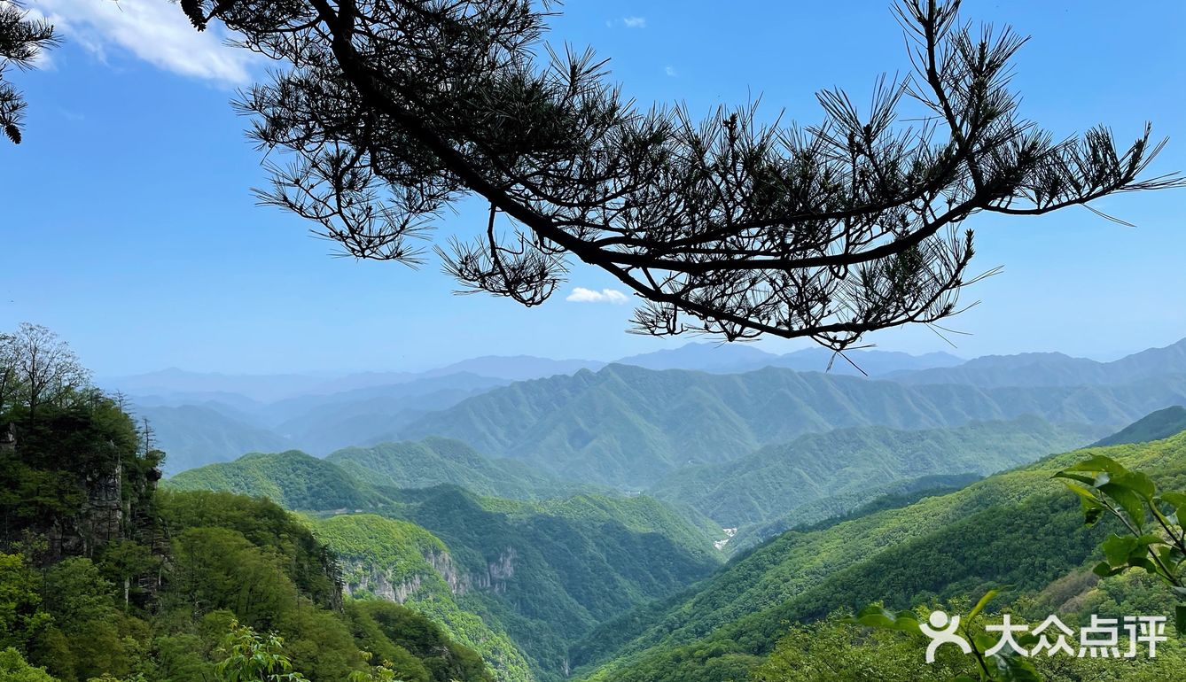 牛背梁国家森林公园