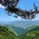 牛背梁国家森林公园