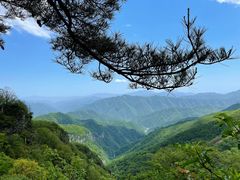 -牛背梁国家森林公园