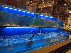 水产区-芭菲盛宴·环球美食(锦城万达广场店)