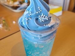 -大阪海游馆