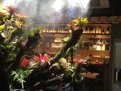 -森味薪火烧•烧鸟居酒屋•日本料理(望京店)