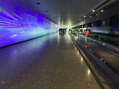 -广州白云国际机场-T2航站楼