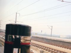 -格瑞思动物奶油生日蛋糕(圆融店)