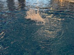 -成都天府丽都喜来登饭店