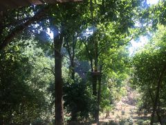 -清迈丛林飞跃 JungleFlight