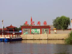 -白洋淀风景区