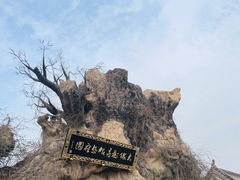 -大槐树寻根祭祖园