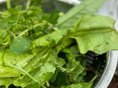 -黔豆园豆米火锅·野菜馆(都匀二店)