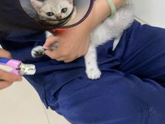 -佳雯宠物医院(金华南路分院)