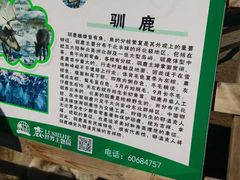 -北京鹿世界主题园