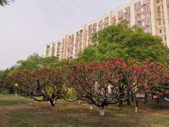 -玲珑塔公园