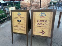 -翱翔飞越地平线