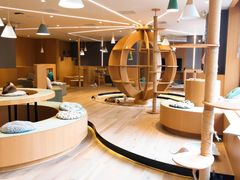 -CAT’S MEWSTAR CAFE·喵星球猫屋(晴湾咖啡店)